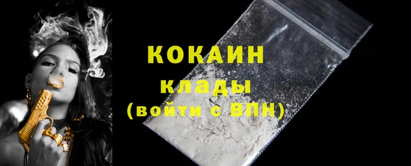 2c-b Тайга