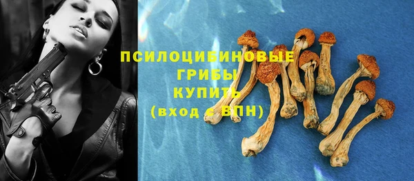 синтетический гашиш Алексеевка