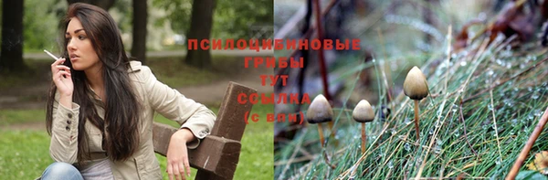 синтетический гашиш Алексеевка