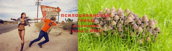 синтетический гашиш Алексеевка
