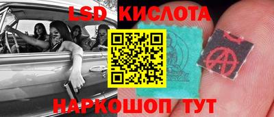 прущие грибы Коммунар