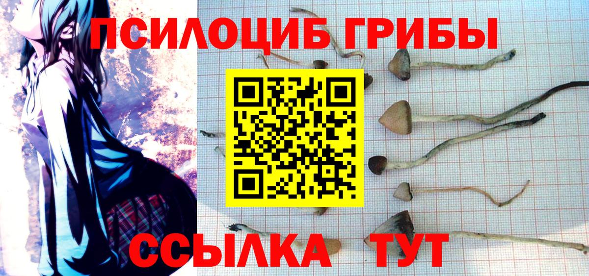 Галлюциногенные грибы Psilocybine cubensis  Псилоцибиновые грибы ЛСД  Вход с VPN  Невинномысск 