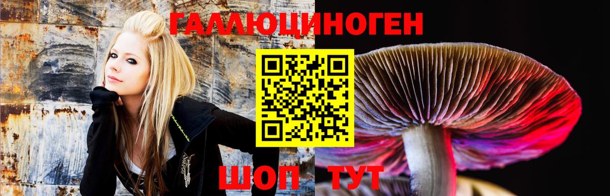 Псилоцибиновые грибы мухоморы Невинномысск
